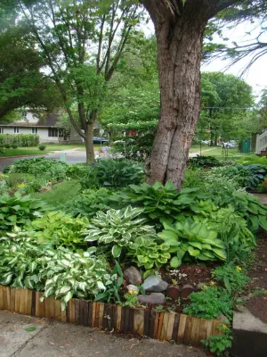 Sun or Shade Garden Design - Landscape Design in Des Moines, IA