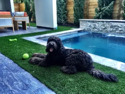 Urbanscapes LLC - Landscape Design in Houston, TX