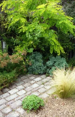 Compact drought-resistant cottage garden — Landscape Design project by English Landscape LLC