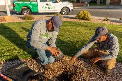 Smart Landscape - Tree Planting & Transplanting in Albuquerque, NM