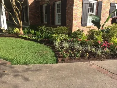 Tropical Garden of Southern Louisiana — Landscape Design project by Megan Montgomery Design