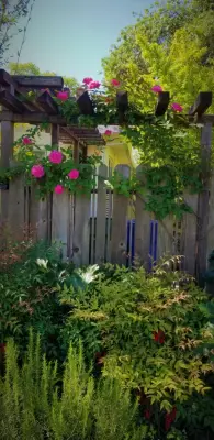 Garden Authority, Inc. - Landscape Construction in Redding, CA