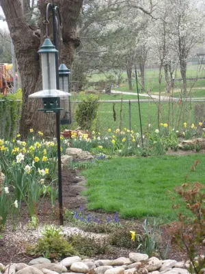 Spring Meadows Fund — Landscape Design project by Creative Outdoor Spaces