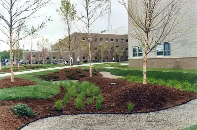 Brian Domke Landscape Architect - Patio Design & Installation in Sagle, ID