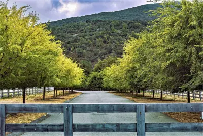 Kathy Rasmussen Landscape Architect - Patio Design & Installation in Monterey, CA