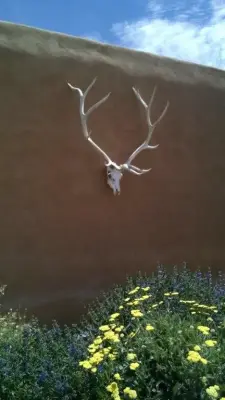 Xeriscape of the Mountains — Landscape Design project by Taos Landscaping