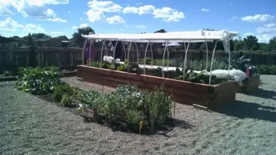 Elevated Garden Beds — Landscape Design project by Taos Landscaping