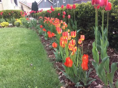 Sun or Shade Garden Design - Landscape Design in Des Moines, IA