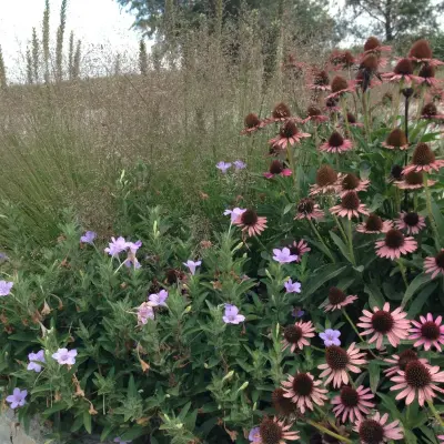 Outdoor Transformations - Patio Design & Installation in Granger, IA