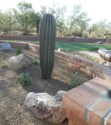 River Road Designs - Patio Design & Installation in Tucson, AZ