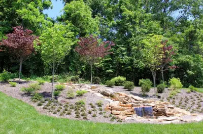 The Lawn Butler - Landscape Design in Knoxville, TN