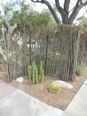 River Road Designs - Patio Design & Installation in Tucson, AZ