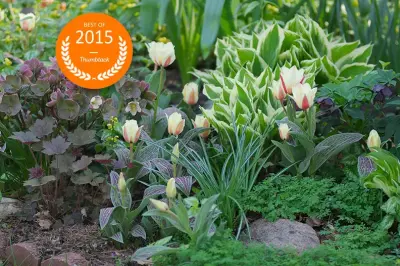 Sun or Shade Garden Design - Landscape Design in Des Moines, IA