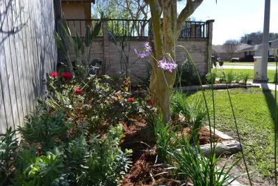 Megan Montgomery Design - Landscape Construction in Lafayette, LA