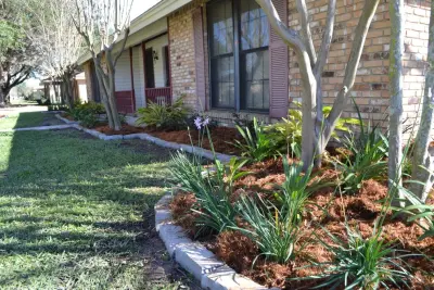 Classic Curb Appeal — Landscape Design project by Megan Montgomery Design