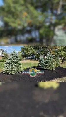 Galeas Landscaping Corp - Tree & Shrub Care in Middletown, NY