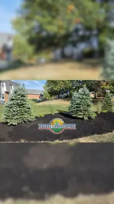 Galeas Landscaping Corp - Tree & Shrub Care in Middletown, NY
