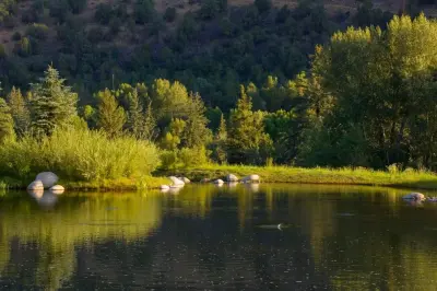 Design Workshop, INC. - Interior Design & Decorating in Aspen, CO