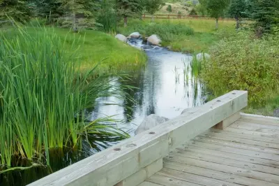 Design Workshop, INC. - Interior Design & Decorating in Aspen, CO