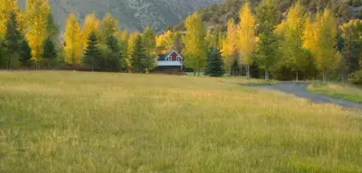 Design Workshop, INC. - Interior Design & Decorating in Aspen, CO