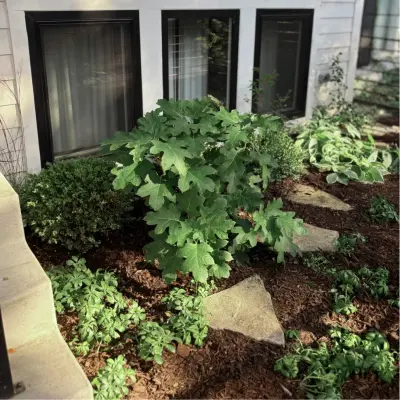 Toots and Roots Gardening Services - Patio Design & Installation in Chicago, IL