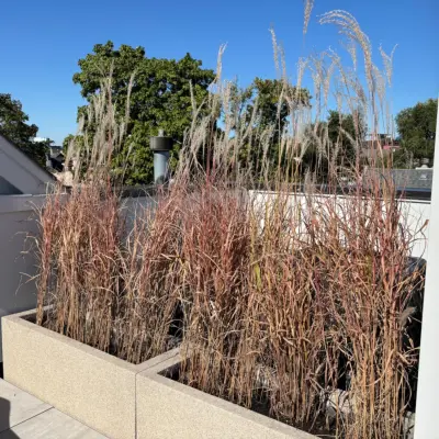 Toots and Roots Gardening Services - Patio Design & Installation in Chicago, IL
