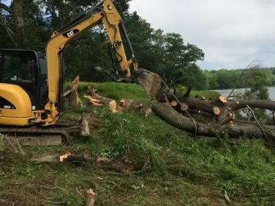 Natural Expressions Tree and Landscaping - Tree & Shrub Care in Binghamton, NY
