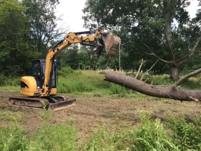Natural Expressions Tree and Landscaping - Tree & Shrub Care in Binghamton, NY