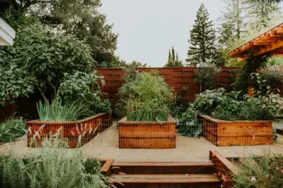 City Corrosion — Landscape Design project by Jake Moss Designs