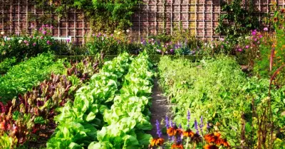 Eugene Garden Design - Landscape Construction in Eugene, OR