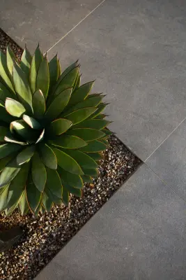 Window Perspectives — Landscape Design project by Boxhill