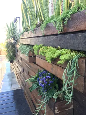 Table2Garden - Landscape Design in Santa Ana, CA