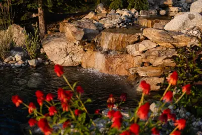 Sight Seeker — Landscape Design project by Coppercreek Landscaping