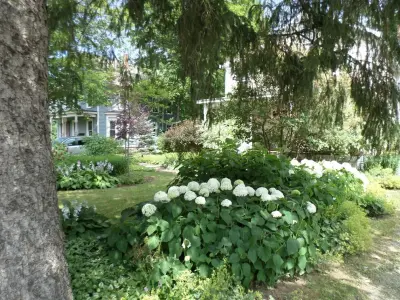 Zone4 Landscapes Ltd. - Landscape Design in Andes, NY