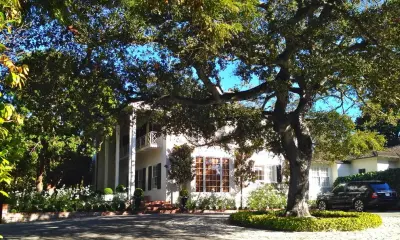 Classic Manor — Landscape Design project by Haven Home And Garden Design