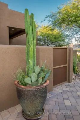 River Road Designs - Patio Design & Installation in Tucson, AZ