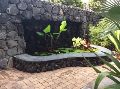 Hawaii Lawn and Landscape - Landscape Construction in Kailuakona, HI