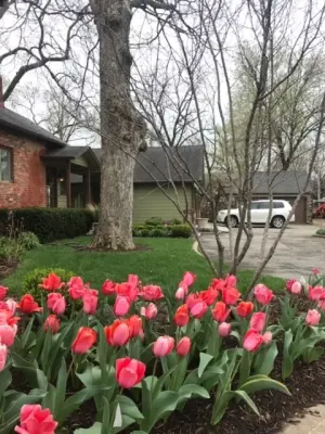 Central West — Landscape Design project by Colonial Hills