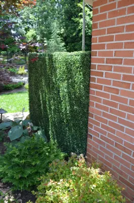 The Easy Gardener - Landscape Design in Knoxville, TN