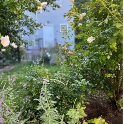 Toots and Roots Gardening Services - Patio Design & Installation in Chicago, IL