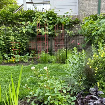 Toots and Roots Gardening Services - Patio Design & Installation in Chicago, IL