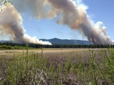 Rural Landscapes for Wildfire Resilience and Resistance — Landscape Design project by Heart Springs Landscape Design, LLC