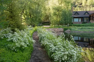 Willoughby Woods — Landscape Design project by Design Workshop, INC.
