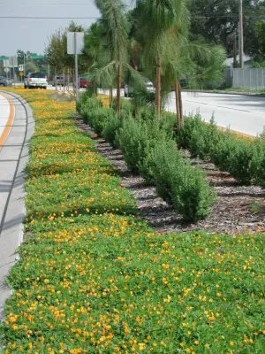 LanVilla Outdoor - Landscape Construction in Jacksonville, FL