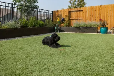 Landscape Design Services, LLC - Landscape Design in Cedar City, UT