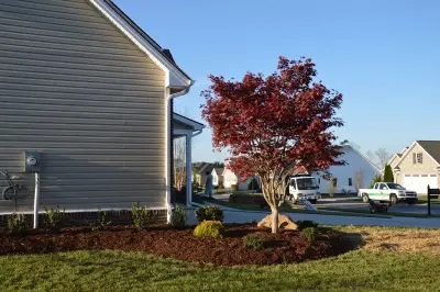 Garden Initiative — Landscape Design project by Promier Landscapes