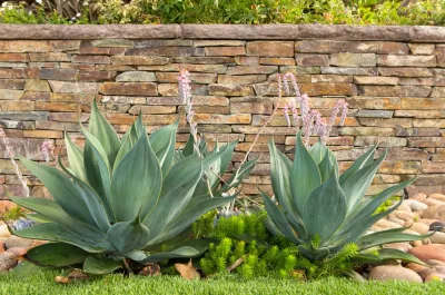 Gregory Davis & Associates - Landscape Design in Los Angeles, CA