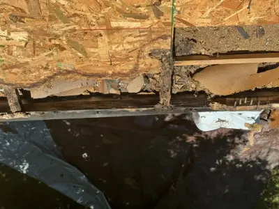 King Roofing & Gutters INC - Window Installation & Replacement in Athens, AL