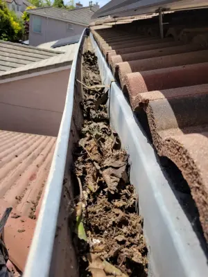 Gal's Gutter Pro - Roofing & Gutter Services in Berkeley, CA
