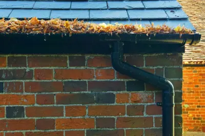 Austin Gutter Protection - Window Installation & Replacement in Cedar Park, TX